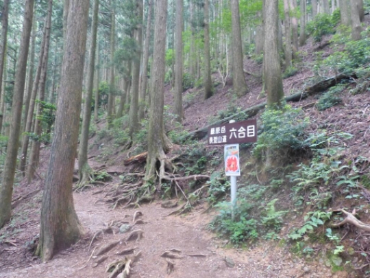 表登山道六合目